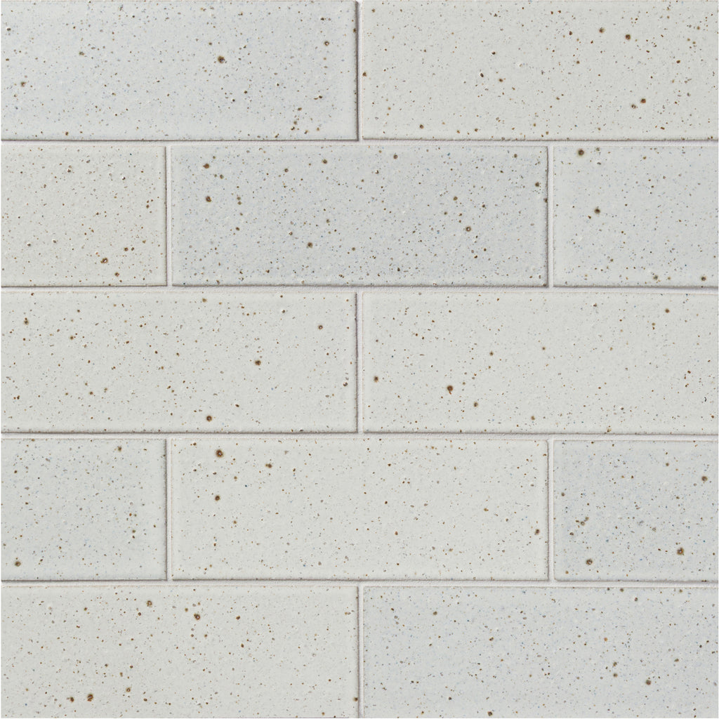 Point Lobos 3 ½ x 9 ½ by Lunada Bay Tile