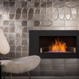 Palm Canyon's Aged Bronze